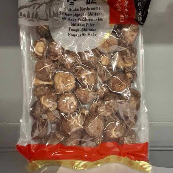 SHIITAKE PILZ